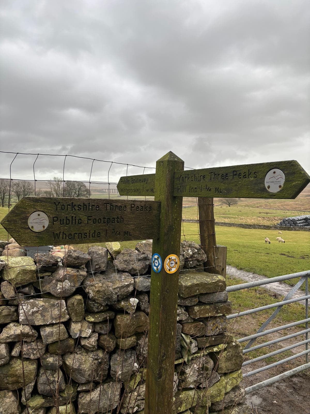 Yorkshire 3 Peaks