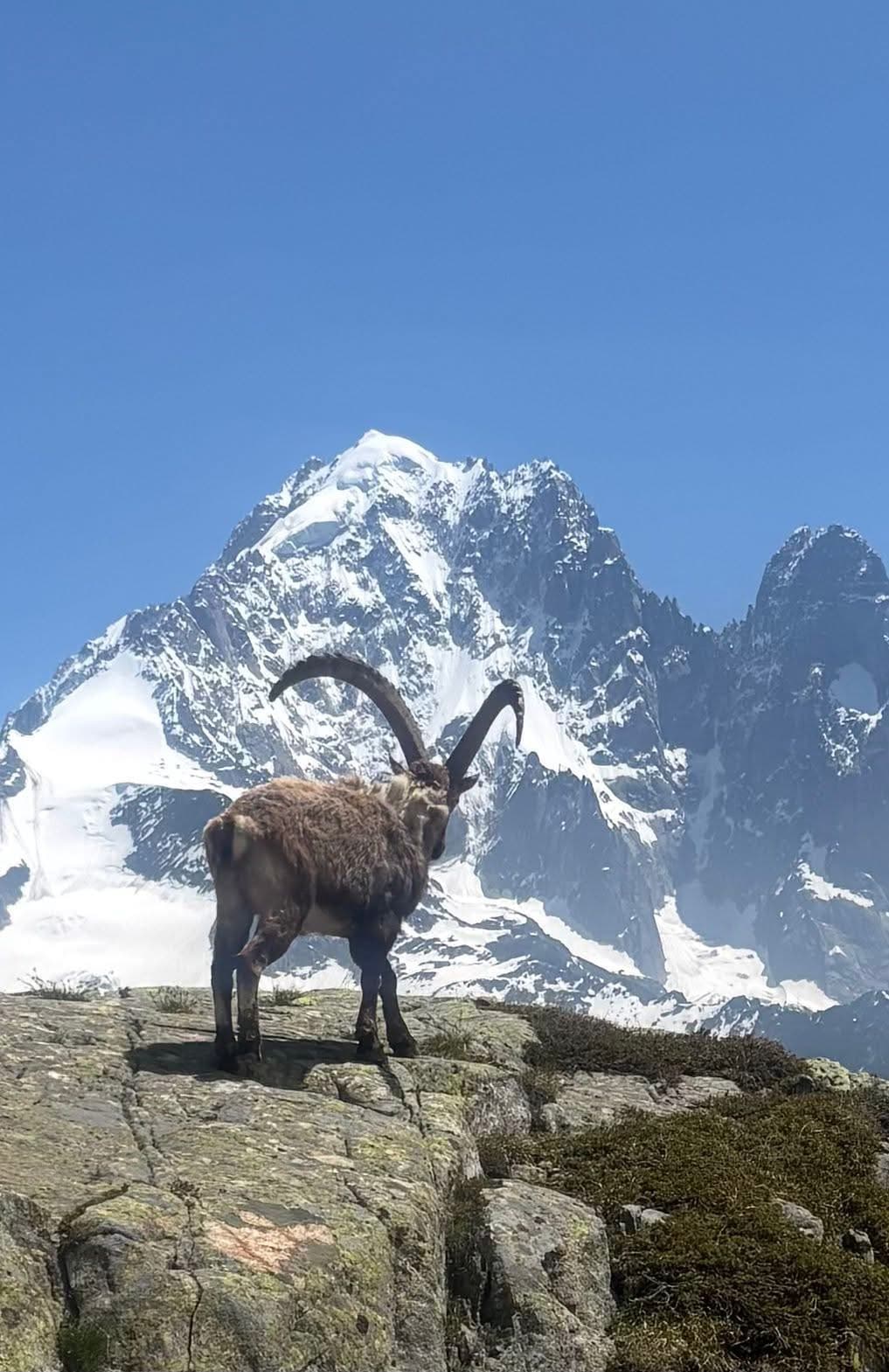 Chamonix Trekking Trip